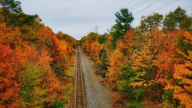 Halifax2.jpg