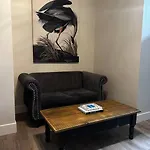 Cozy Apt In Central Halifax