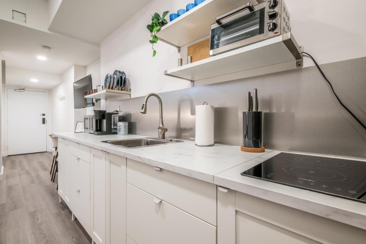 Spacious Newly Renovated 1 Bedroom Apartment