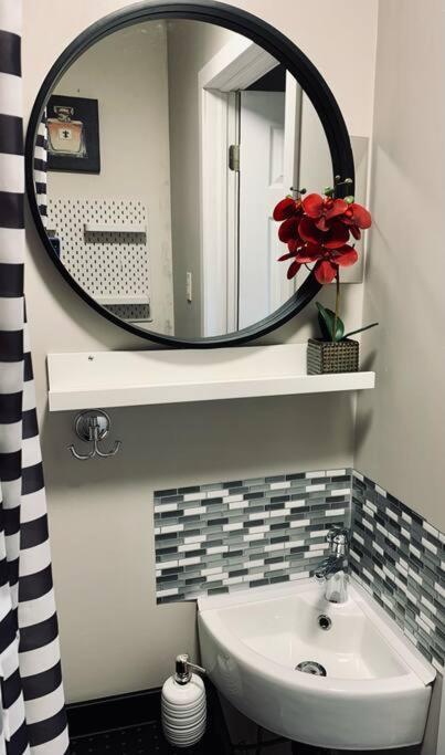 Apartment 246 Lovely Work From Ready Apt In