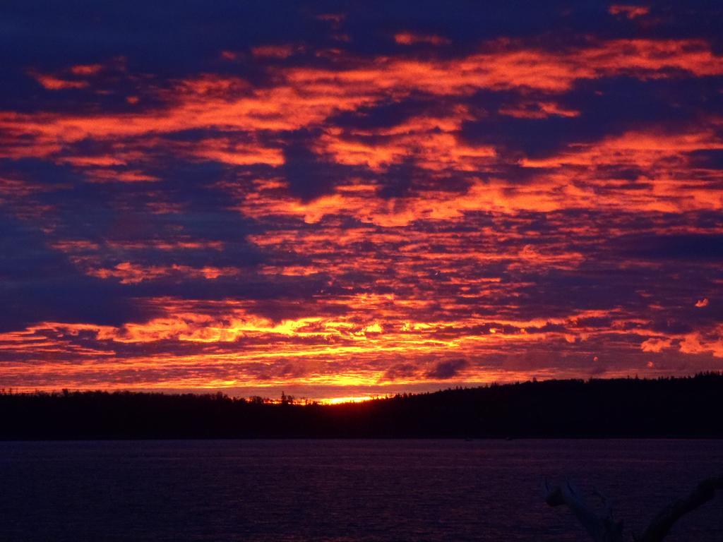 Seawatch Bed & Breakfast Halifax
