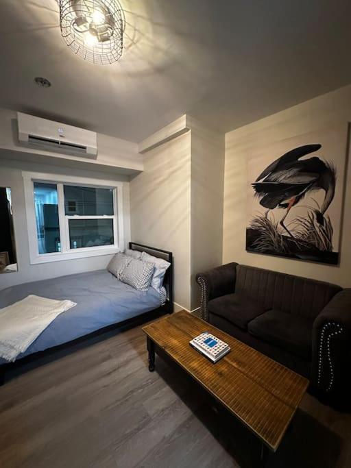 Cozy In Apartment *