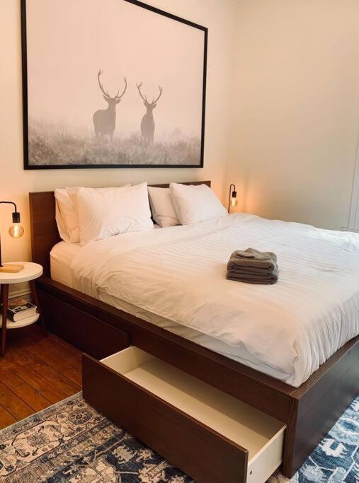 Apartment Pet-friendly Space #3 At Doggy Digs, King Bed And Office Halifax