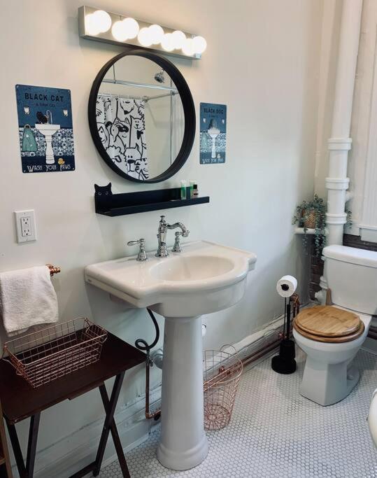 Pet-friendly Space #3 At Doggy Digs, King Bed And Office *