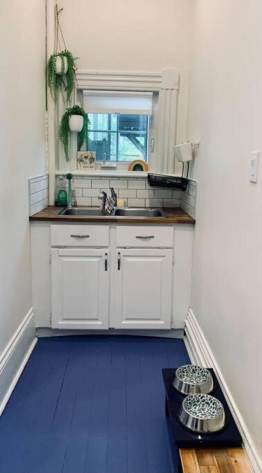 Pet-friendly Space #3 At Doggy Digs, King Bed And Office *