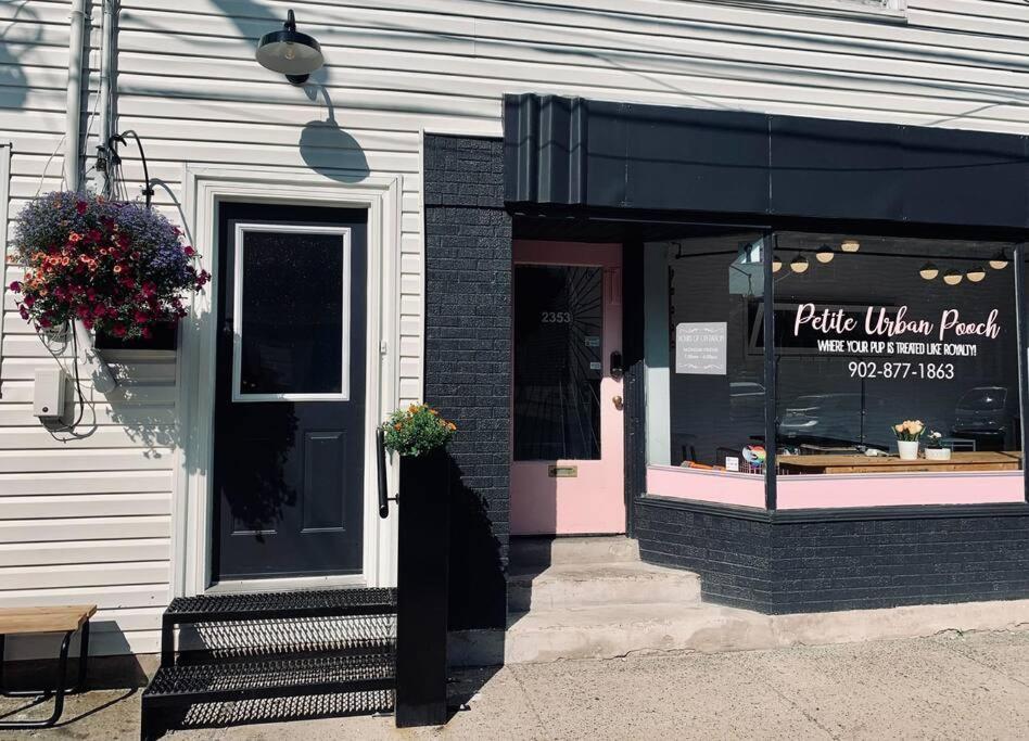 Pet-friendly Space #3 At Doggy Digs, King Bed And Office * Halifax