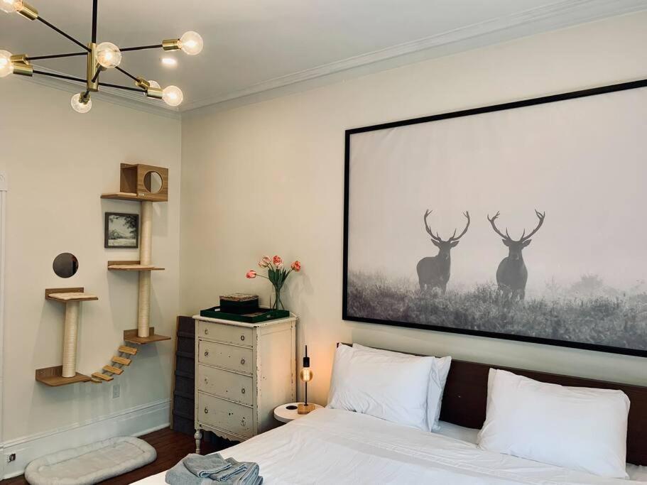 Apartment Pet-friendly Space #3 At Doggy Digs, King Bed And Office