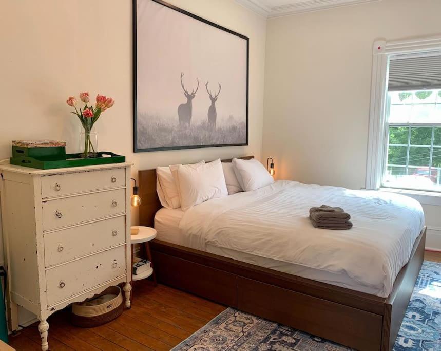 Pet-friendly Space #3 At Doggy Digs, King Bed And Office Apartment Halifax