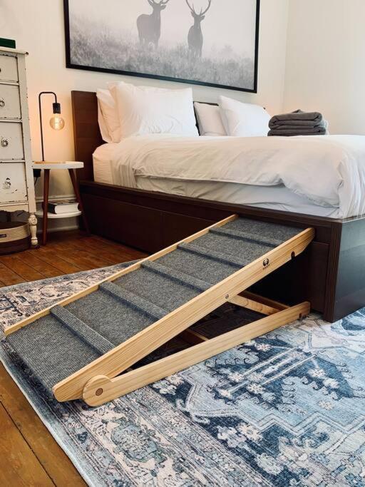 Pet-friendly Space #3 At Doggy Digs, King Bed And Office Halifax