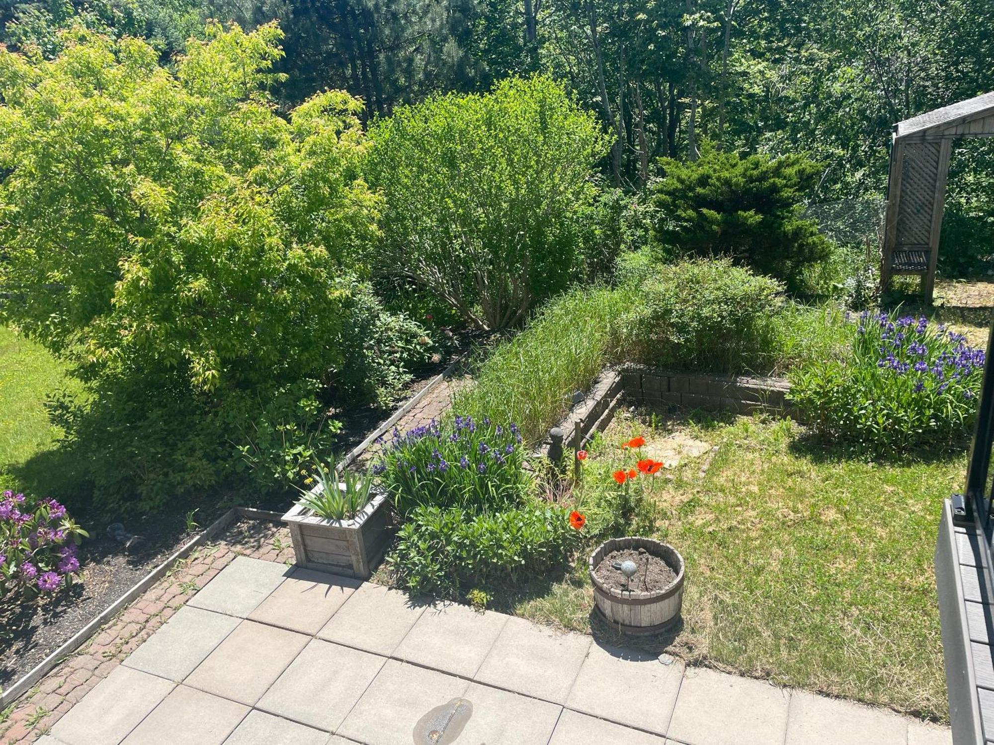 Garden City-private 1br Full Halifax