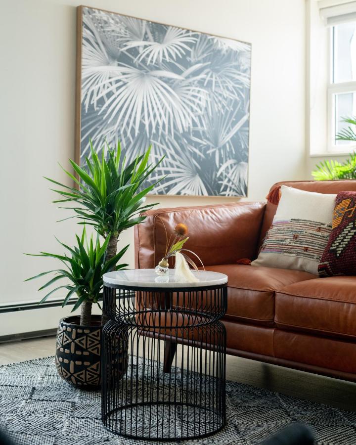 The Vuze - The Best Views In * Halifax