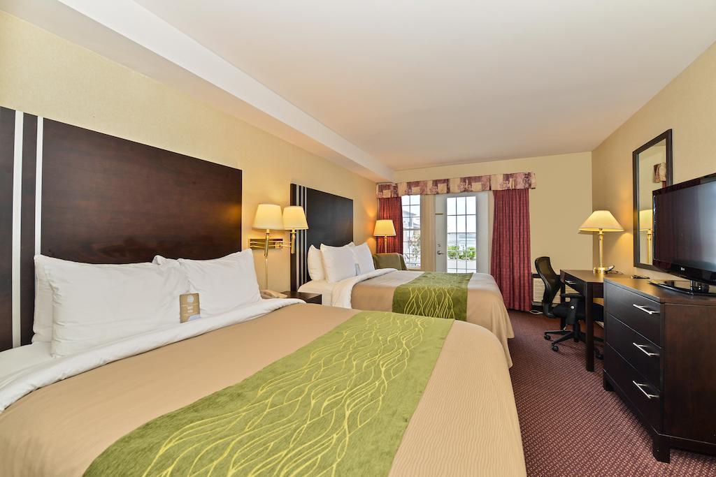 Inn Comfort Halifax