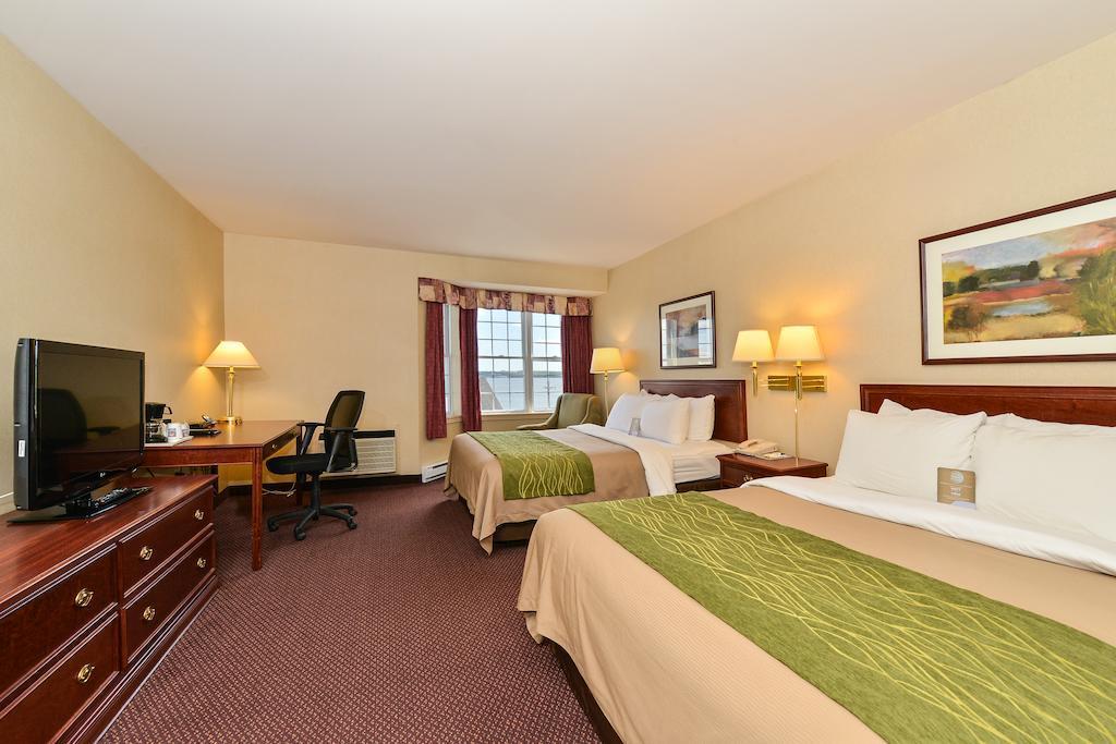 Comfort Halifax