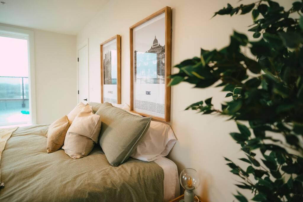Chic Cozy Retreat - 2br - Stunning North End Views Apartment