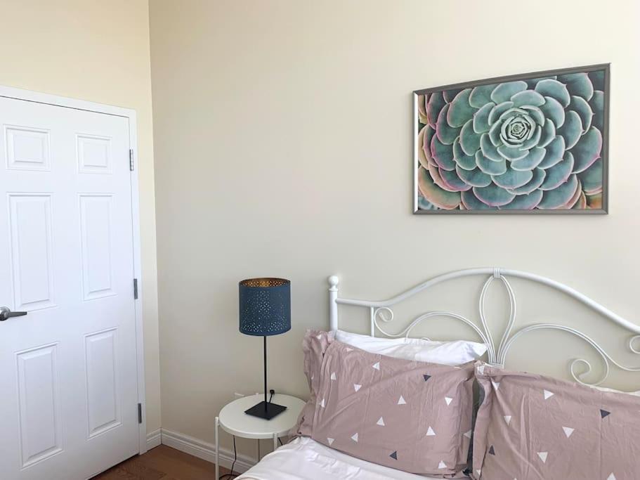 214 Sunny Downtown Loft Apartment