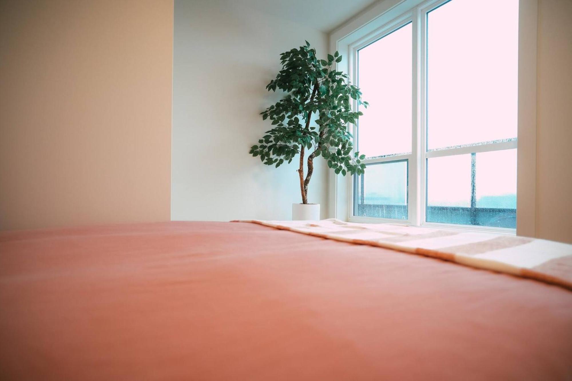 Chic Cozy Retreat - 2br - Stunning North End Views * Halifax