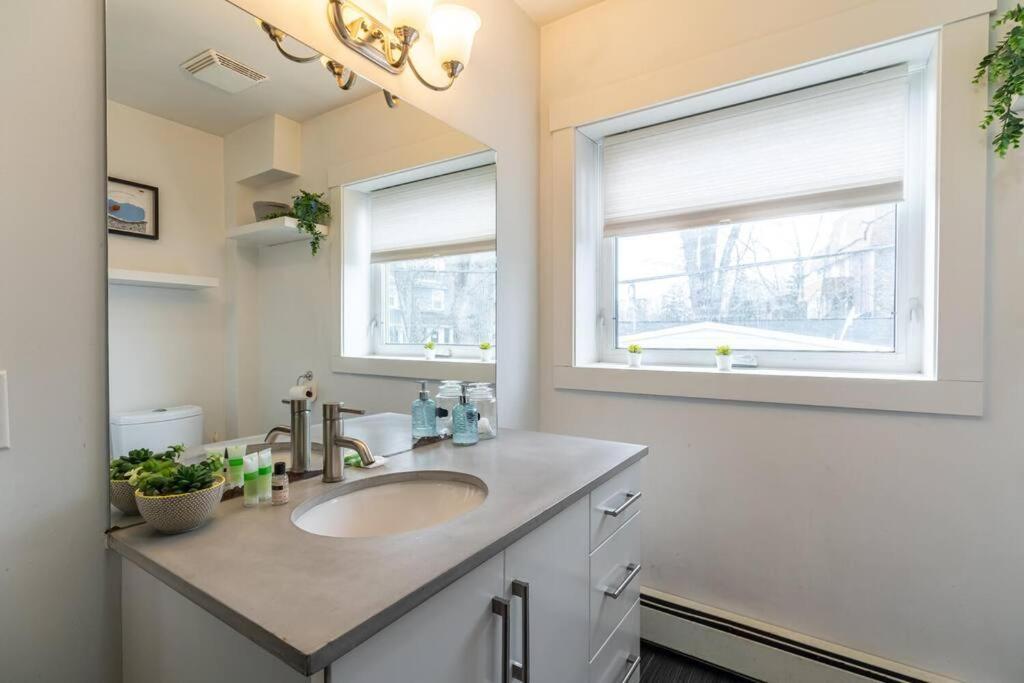 Apartment Large & Sunny Beautiful #103