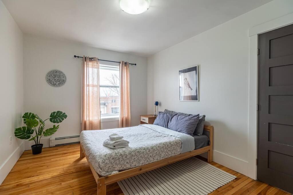 Large & Sunny Beautiful #103 Apartment *