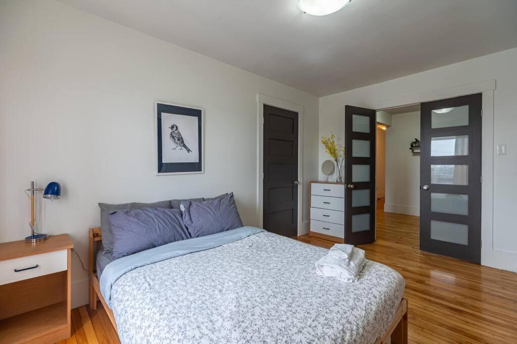 Apartment Large & Sunny Beautiful #103