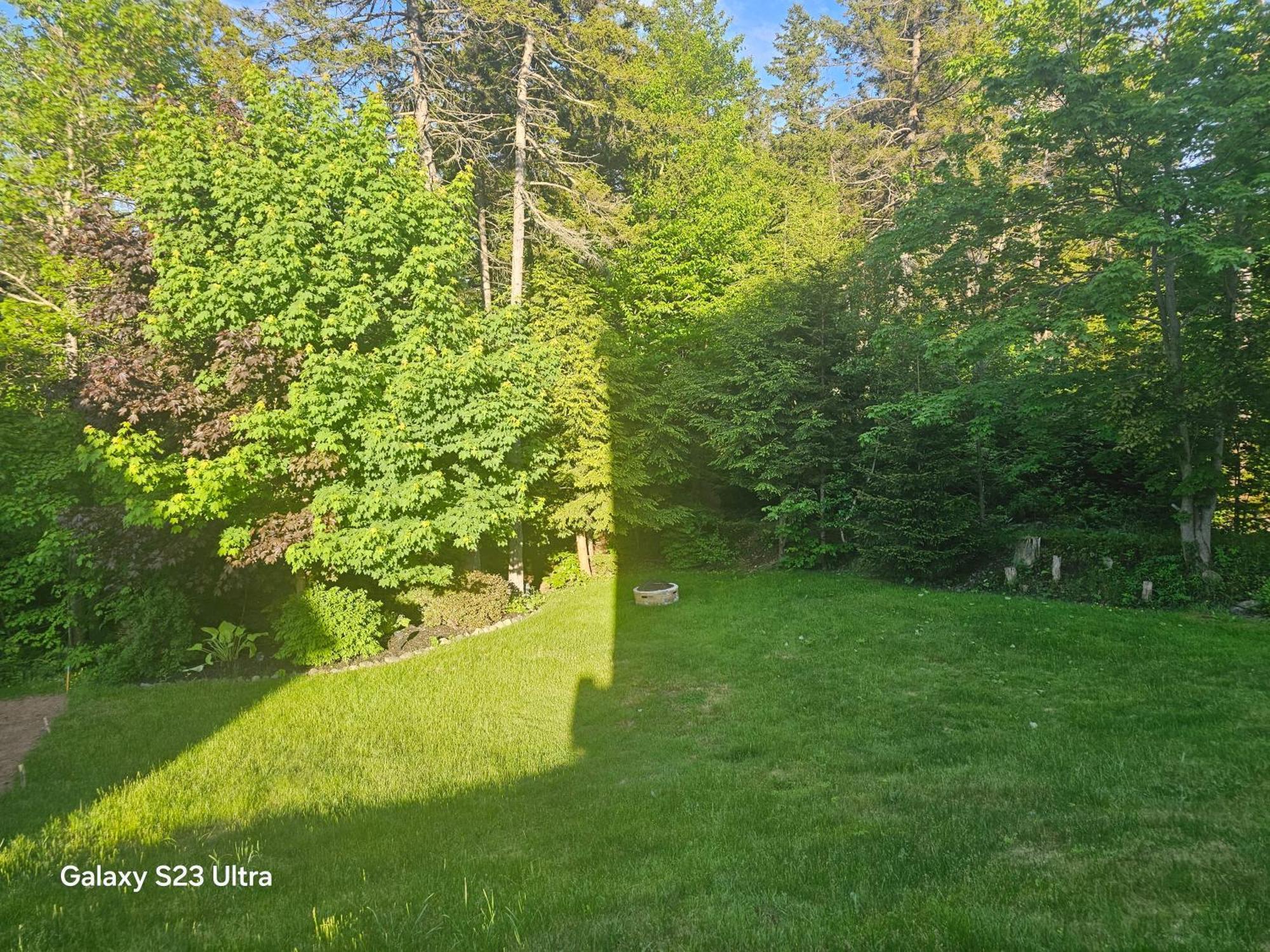 Cozy, Private Basement Apartment