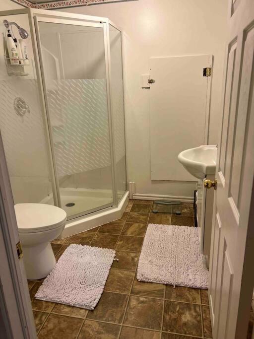 Spacious Style Basement Halifax