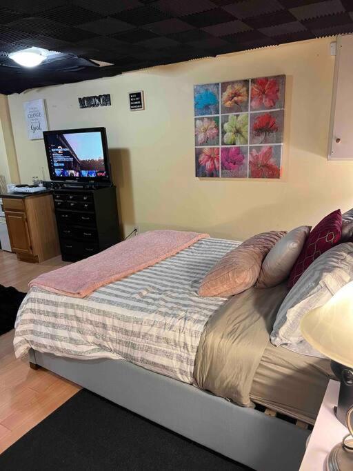 Spacious Style Basement Apartment *