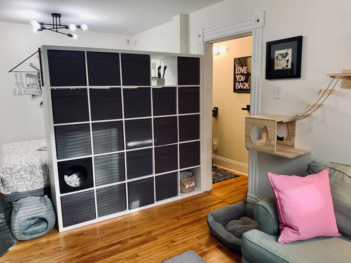 Ultimate Pet-friendly #1 With Patio At Doggy Digs Apartment