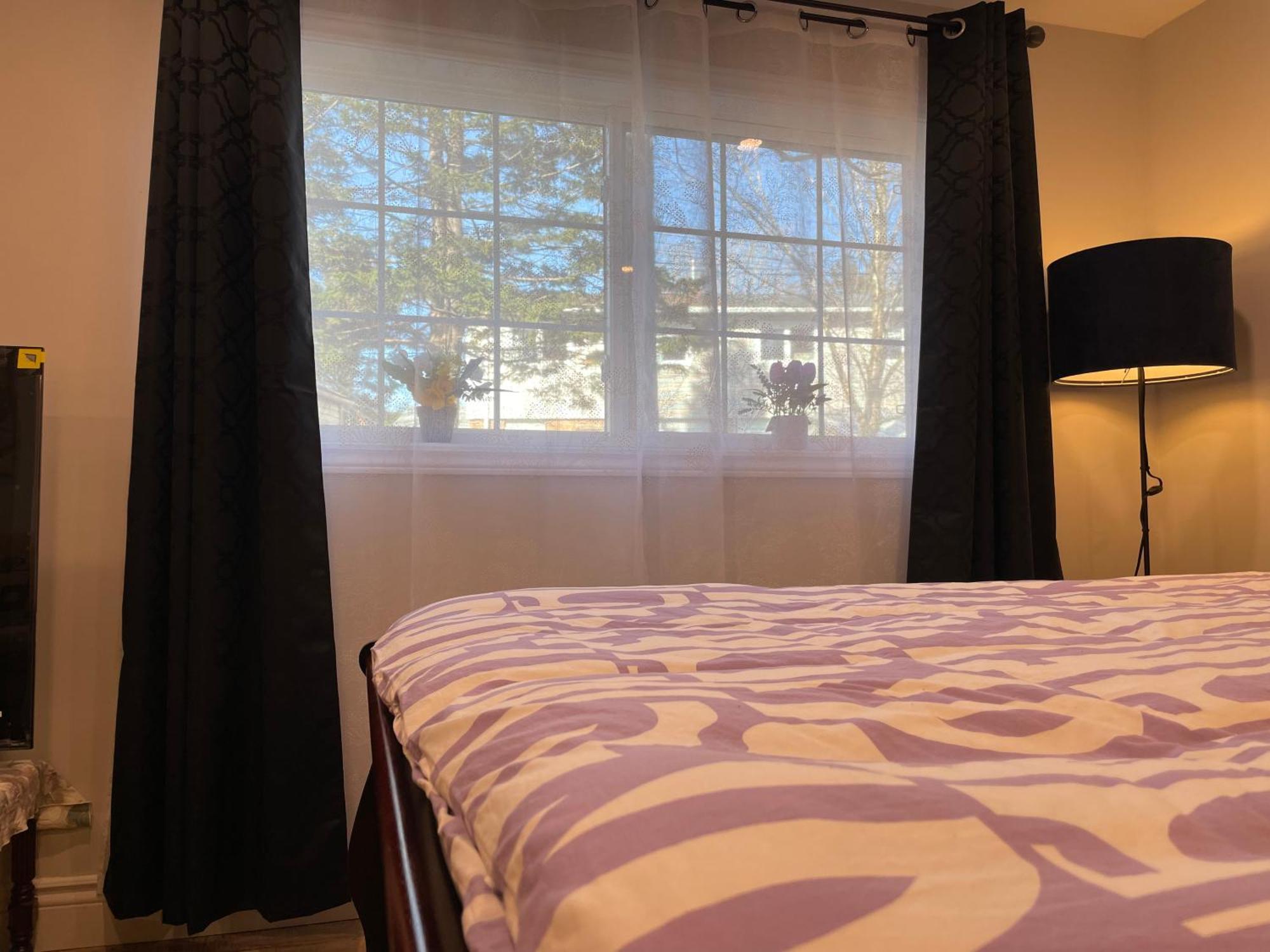 Apartment Quiet And Private Bachelor Unit Halifax