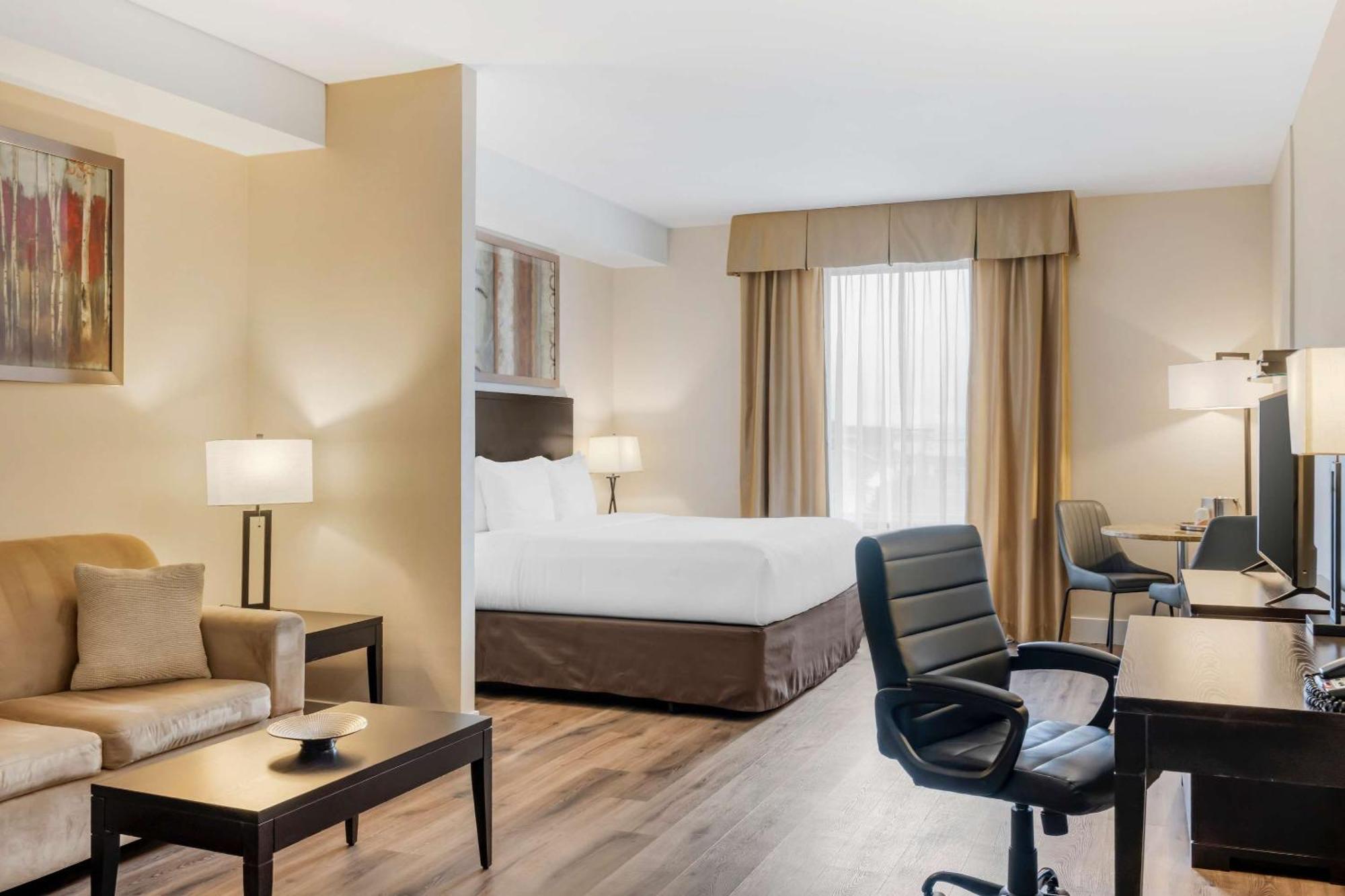 Comfort Bayer's Halifax