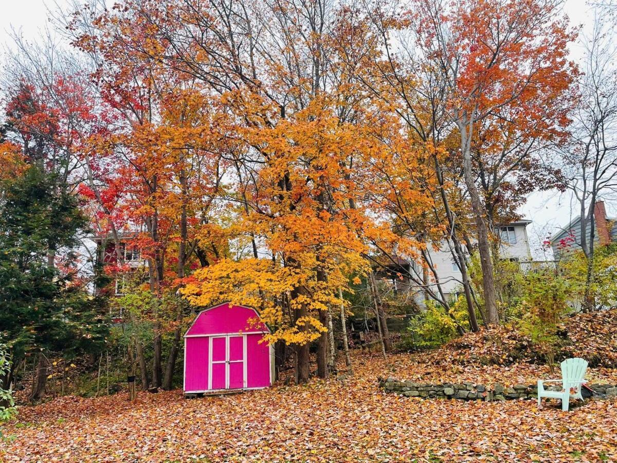 Spacious And Cozy Halifax