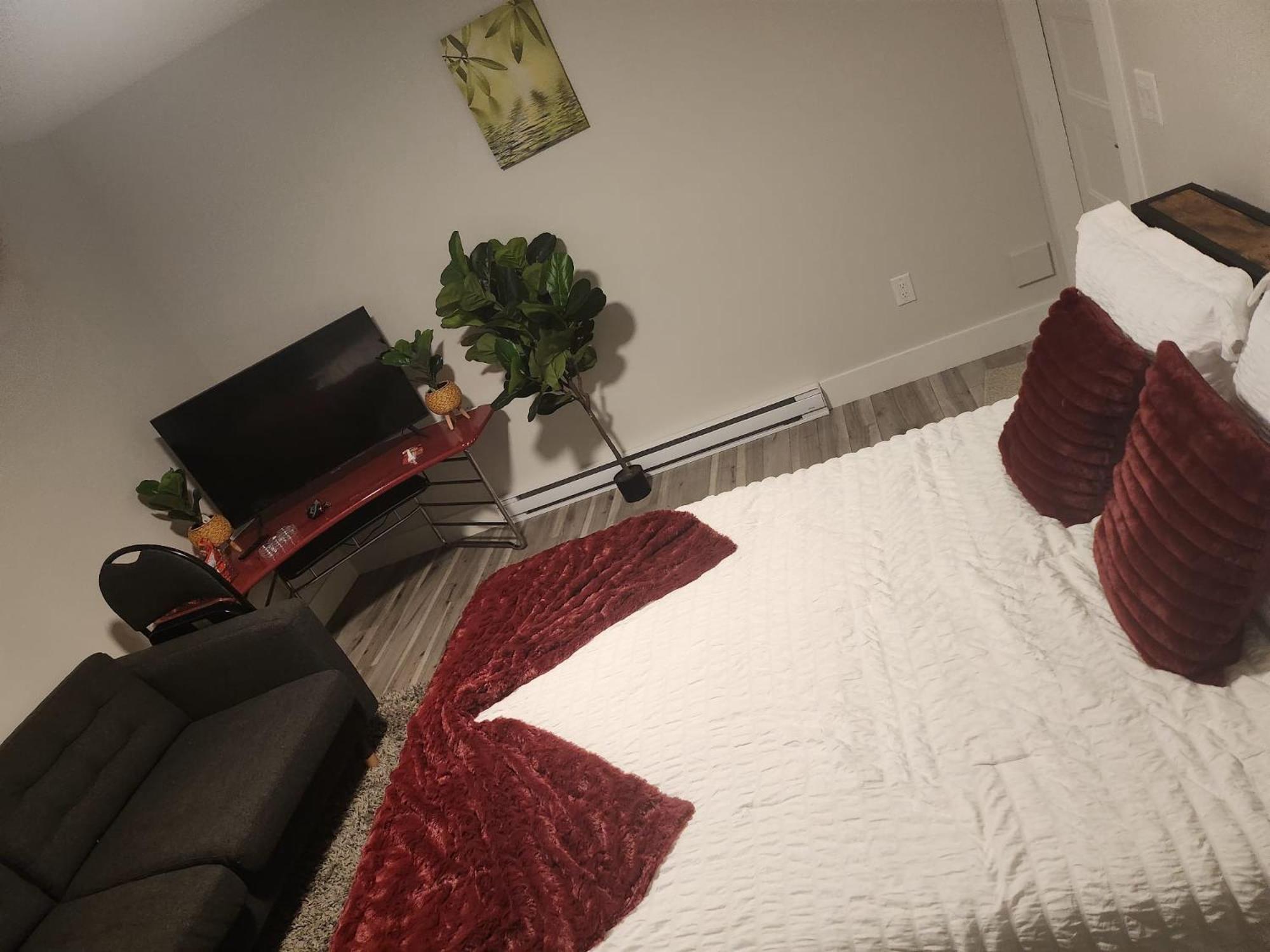 Choicest Cozy * Halifax