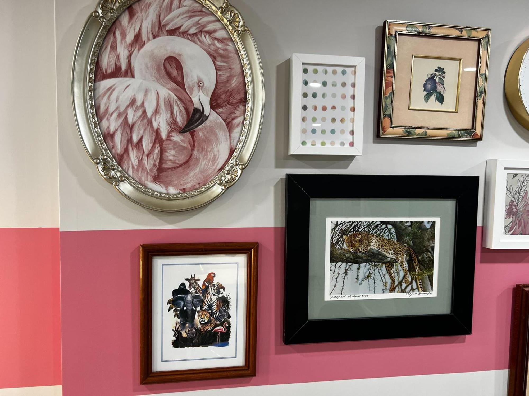 Flamingo Jungle Tropical-themed Getaway At Ports On Portland, Unit #2 Halifax